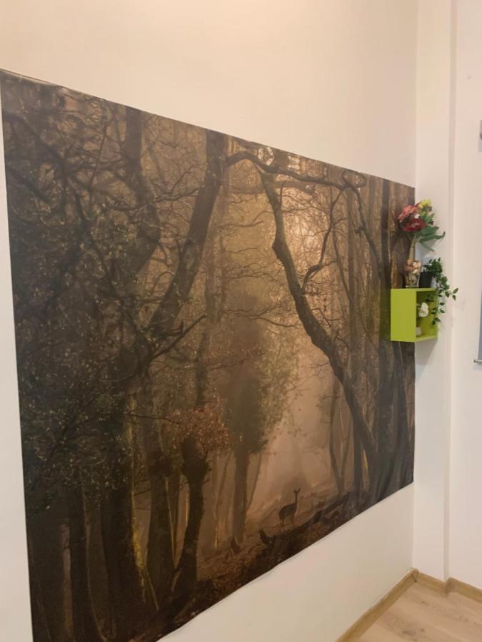Bucarest B&B المظهر الخارجي الصورة