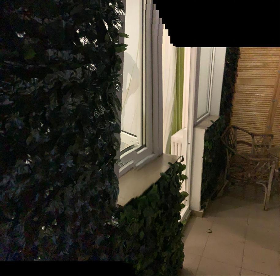 Bucarest B&B المظهر الخارجي الصورة